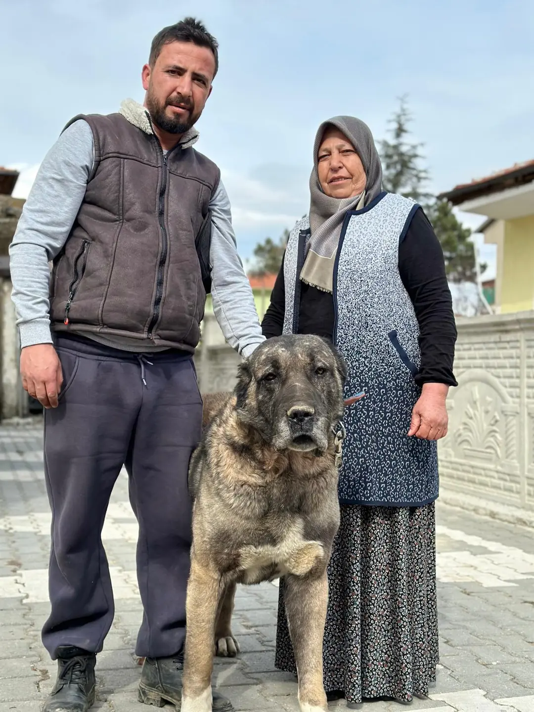 Aile Mirası
