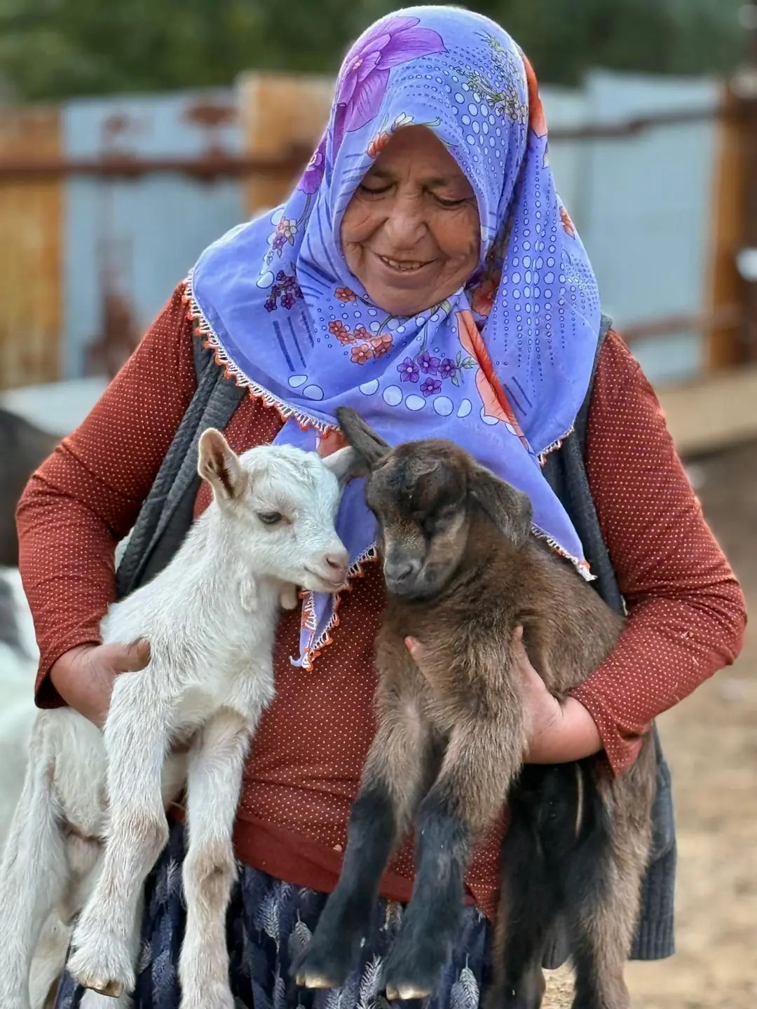 Ustamızın Eliyle