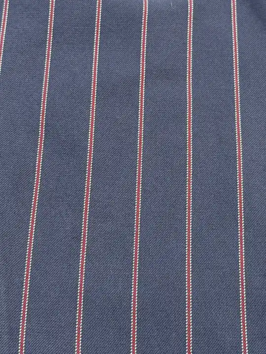 Çizgili Balon Paça Pantolon – görsel 2