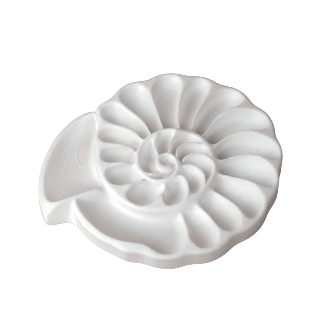 Ammonite Şeklinde Palet & Takı Tepsisi