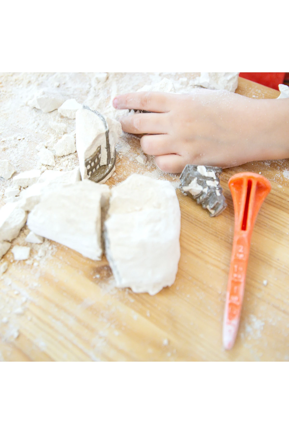 Colosseum New Era | Eğitici Kazı Seti | Arkerobox