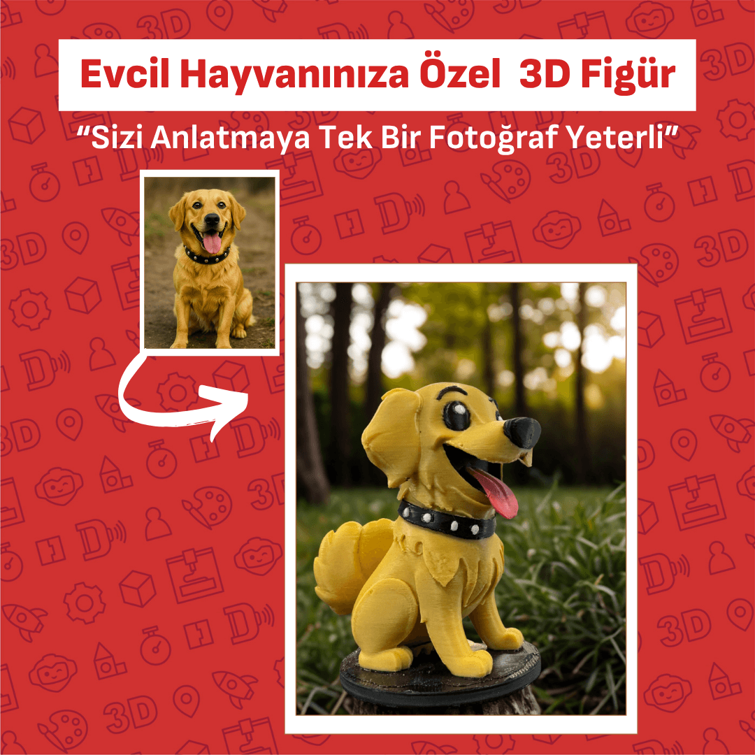 Evcil Hayvanınıza Özel 3D Figür