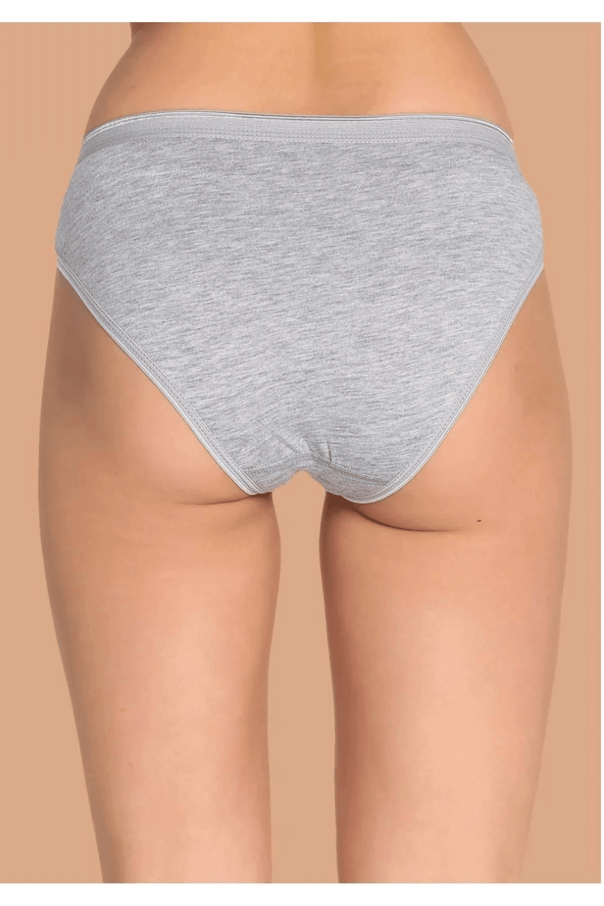 Tutku Kadın Gri 6'lı Paket Pamuklu Su Yolu Bikini Külot Yeni Sezon