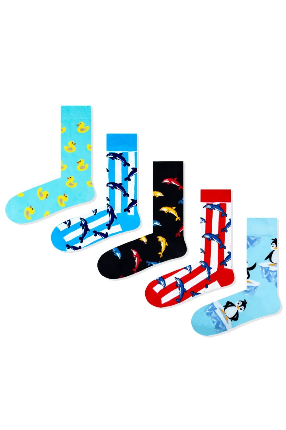 5'li Dolphin Renkli Çorap Set