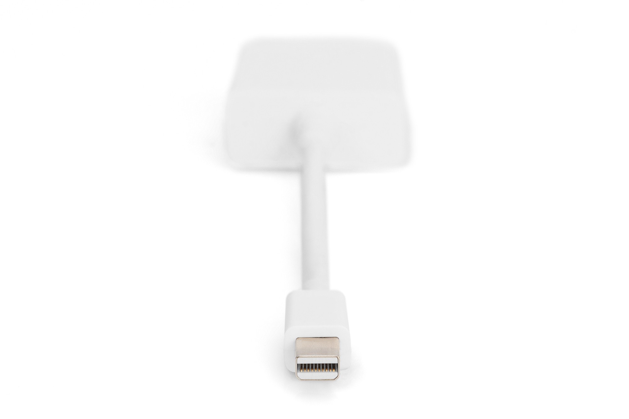 DisplayPort adaptör kablosu, mini DP - DVI (24+5) St/Bu, 0,15 m, DP 1.1a uyumlu, CE, we