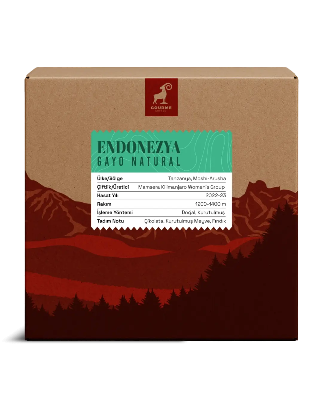 Endonezya Gayo Natural