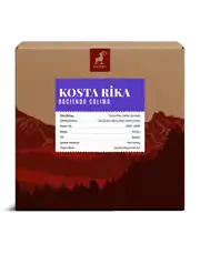 Kosta