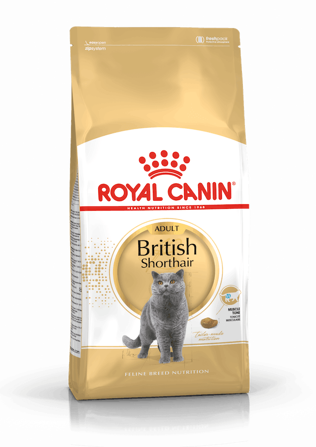 Royal Canın British Shorthair Adult 2 kg
