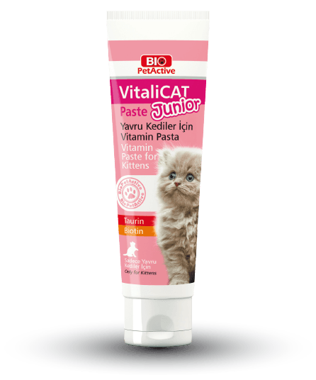 Bio PetActive VitaliCat Junior Yavru Kedi Vitamini 100 Gr