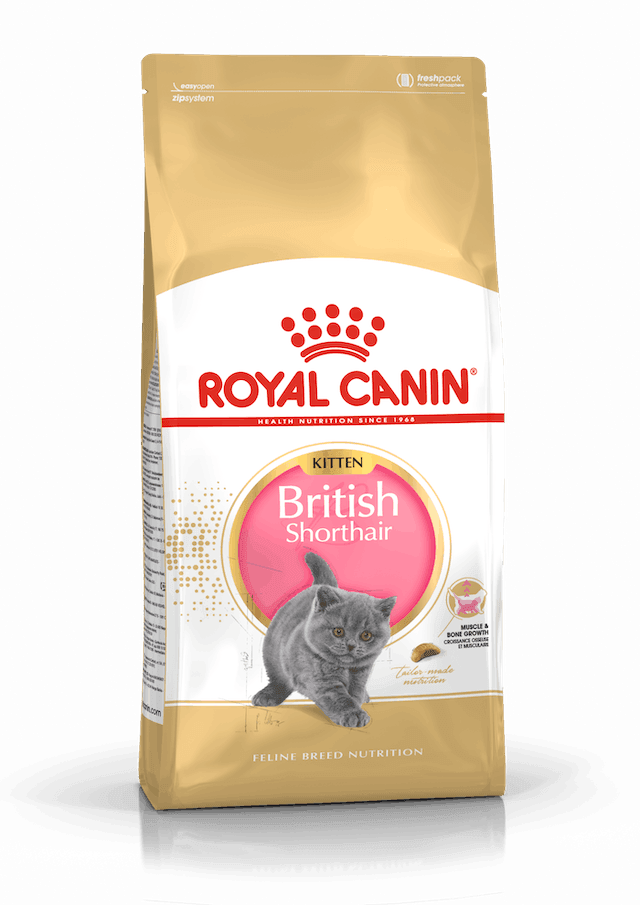 Royal Canın British Shorthair Kitten 2 kg