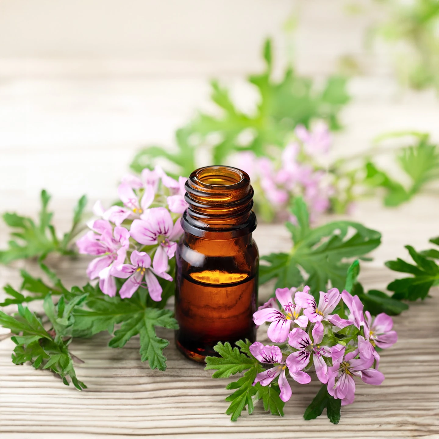 Itır Uçucu Yağı | Organik