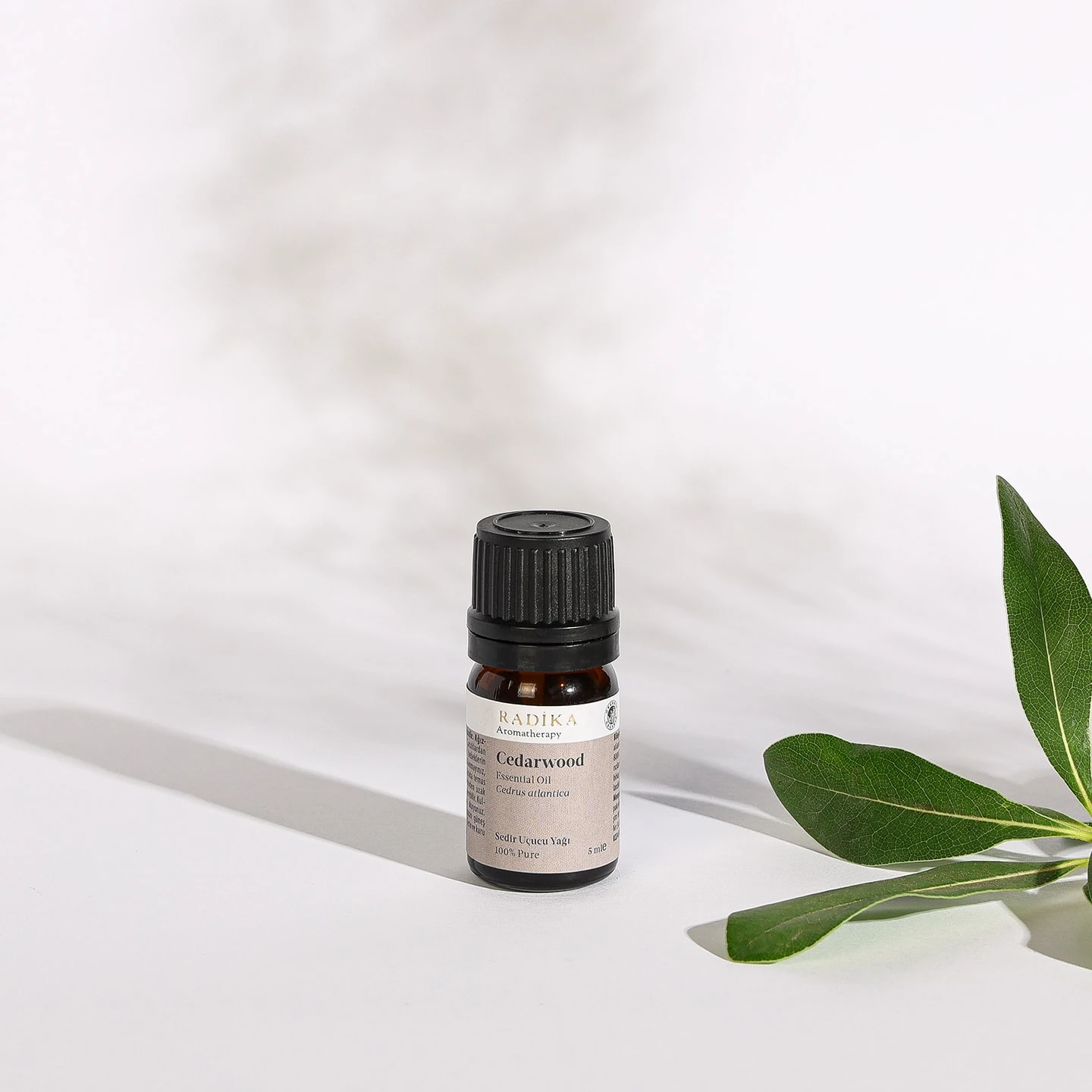 Sedir Uçucu Yağı | Organik
