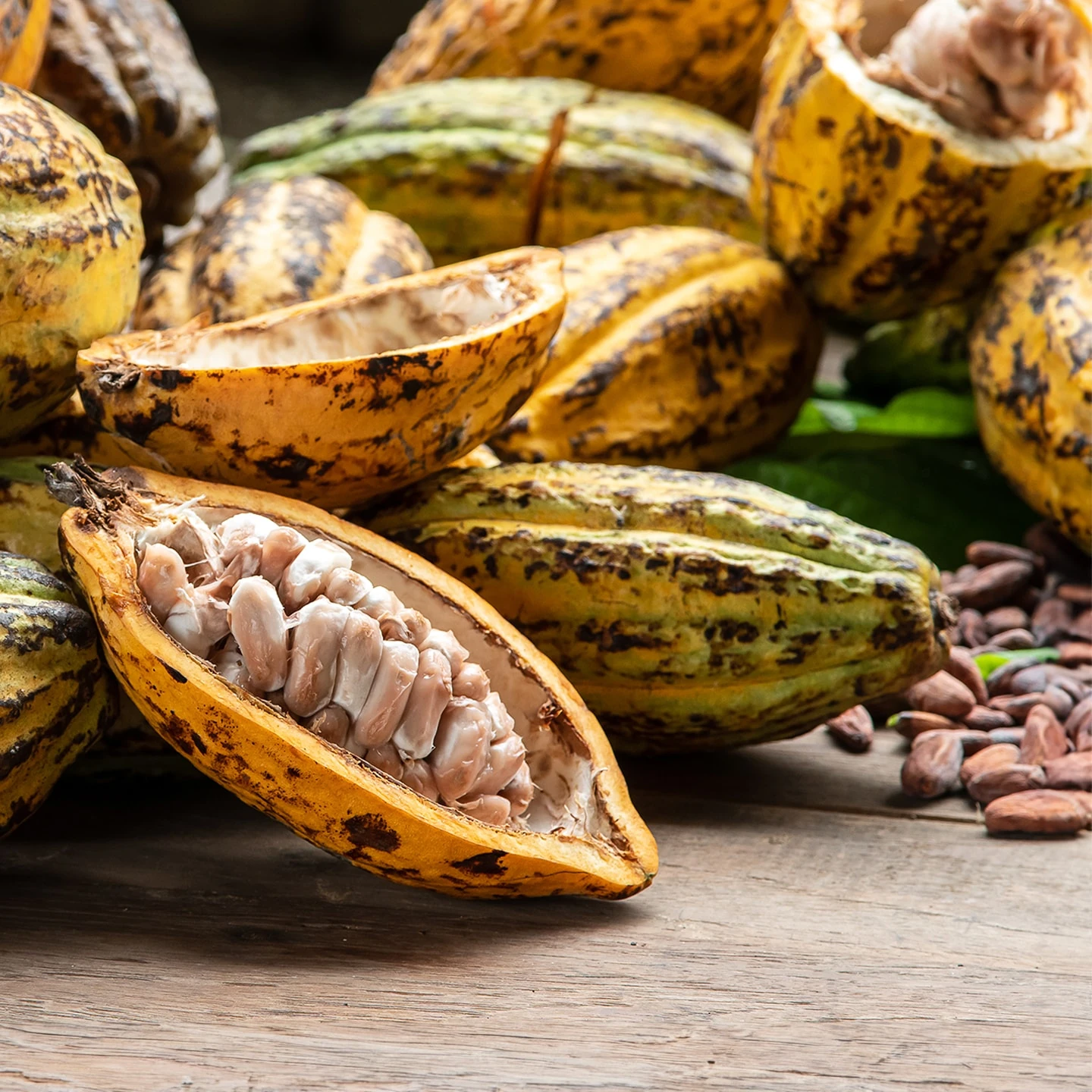 Kakao Yağı | Organik | Taşıyıcı Yağ