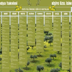 Kişiye Özel Sosyal Medya Takvimi - Özel Günlerle Dolu Eğlenceli Duvar Afişi Zeytin