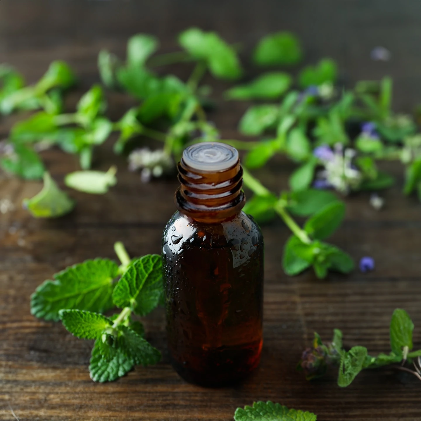 Paçuli (Tefarik) Patchouli Uçucu Yağı | Organik