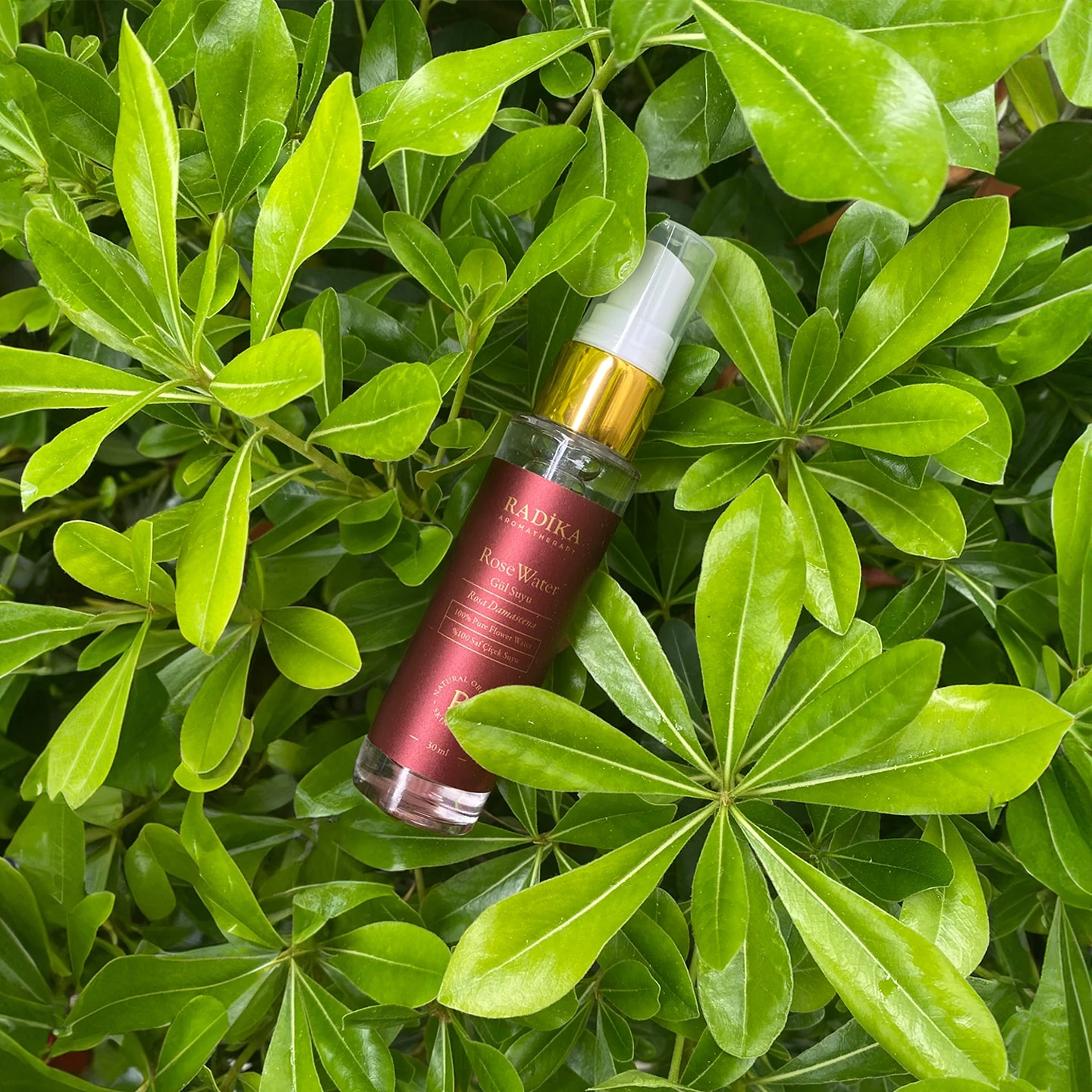 Doğal Gül Suyu | Tüm Cilt Tipleri ve Hassas Ciltler İçin | 30 ml