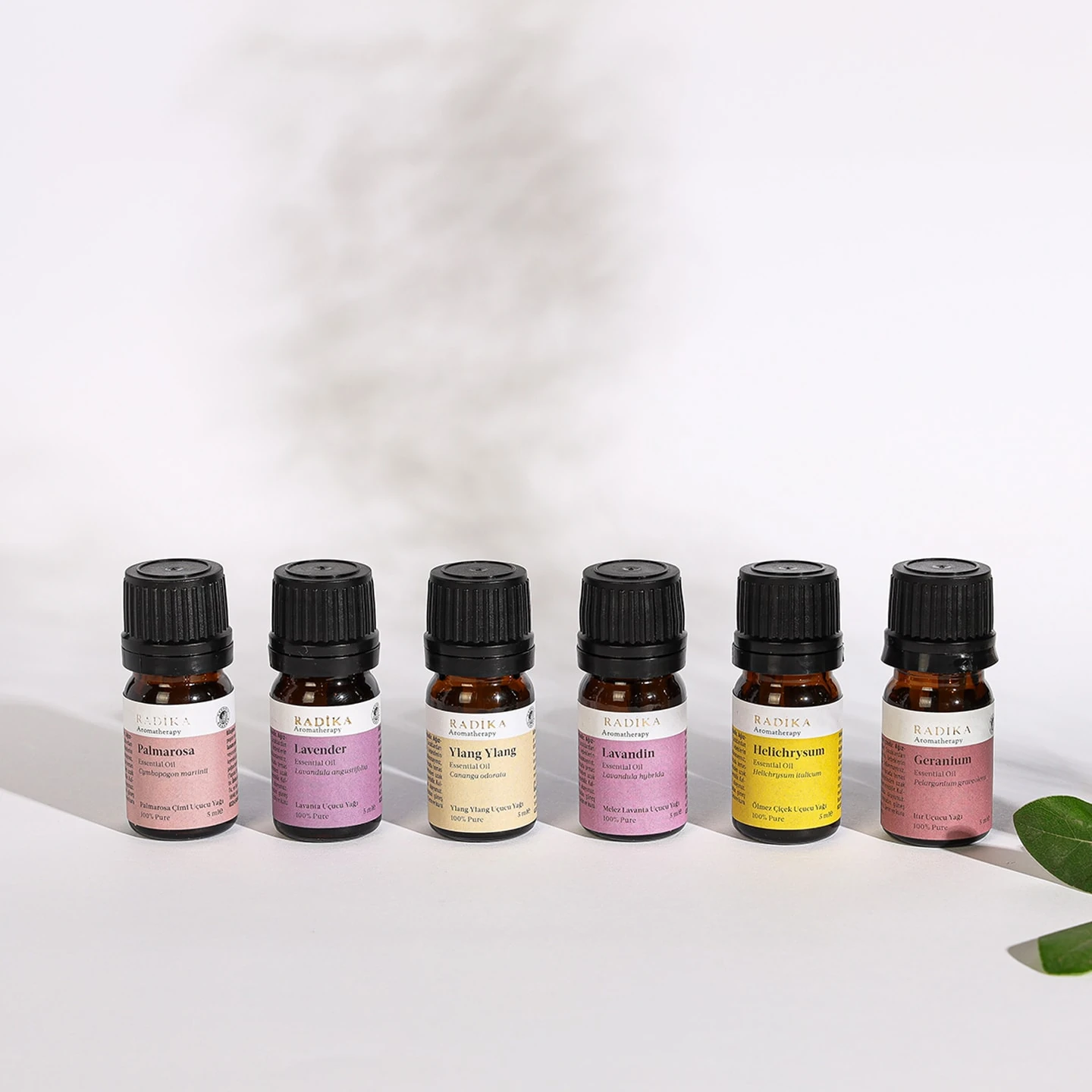 Ylang Ylang Uçucu Yağı | Organik