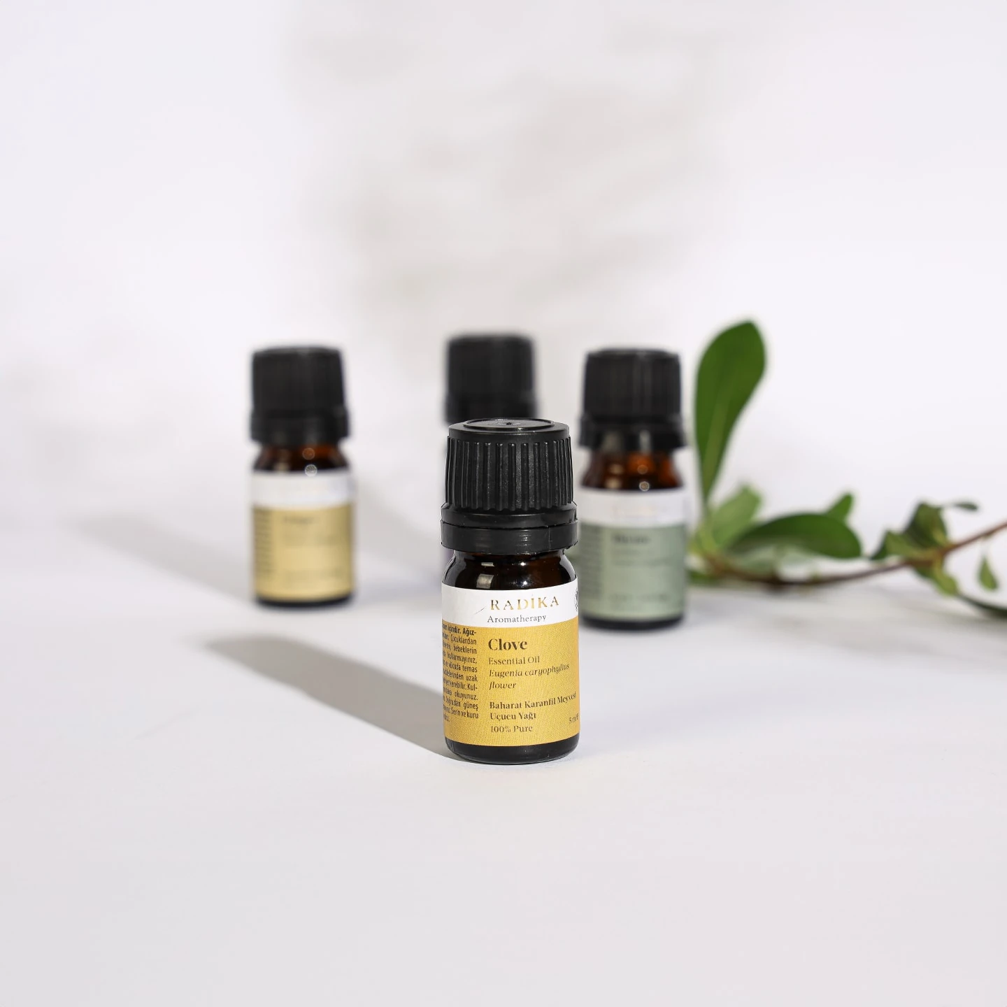 Karanfil Uçucu Yağı | Organik