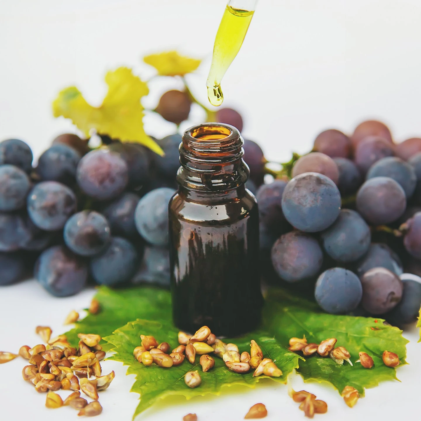 Üzüm Çekirdeği Yağı | Organik | Taşıyıcı Yağ