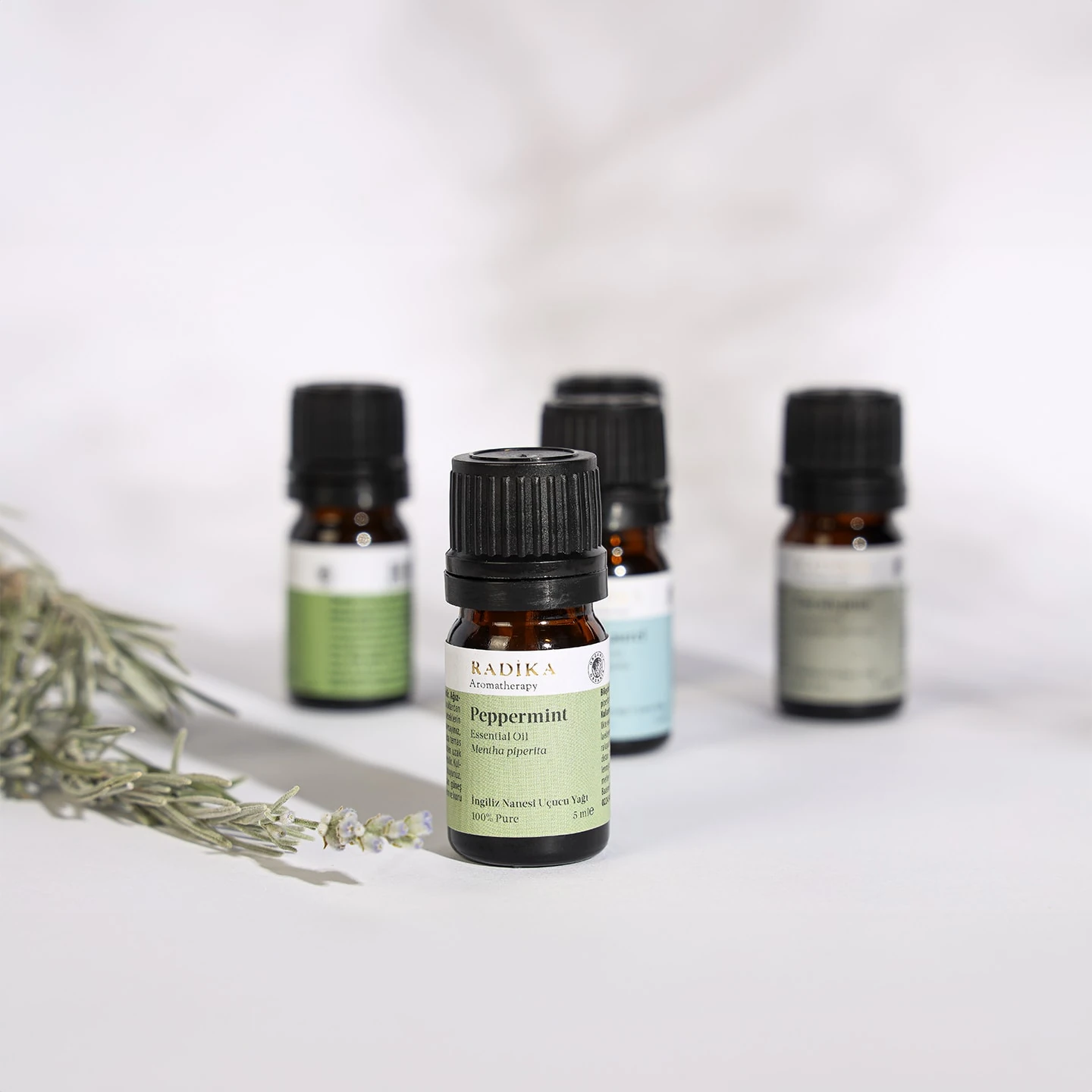 İngiliz Nanesi Uçucu Yağı | Organik