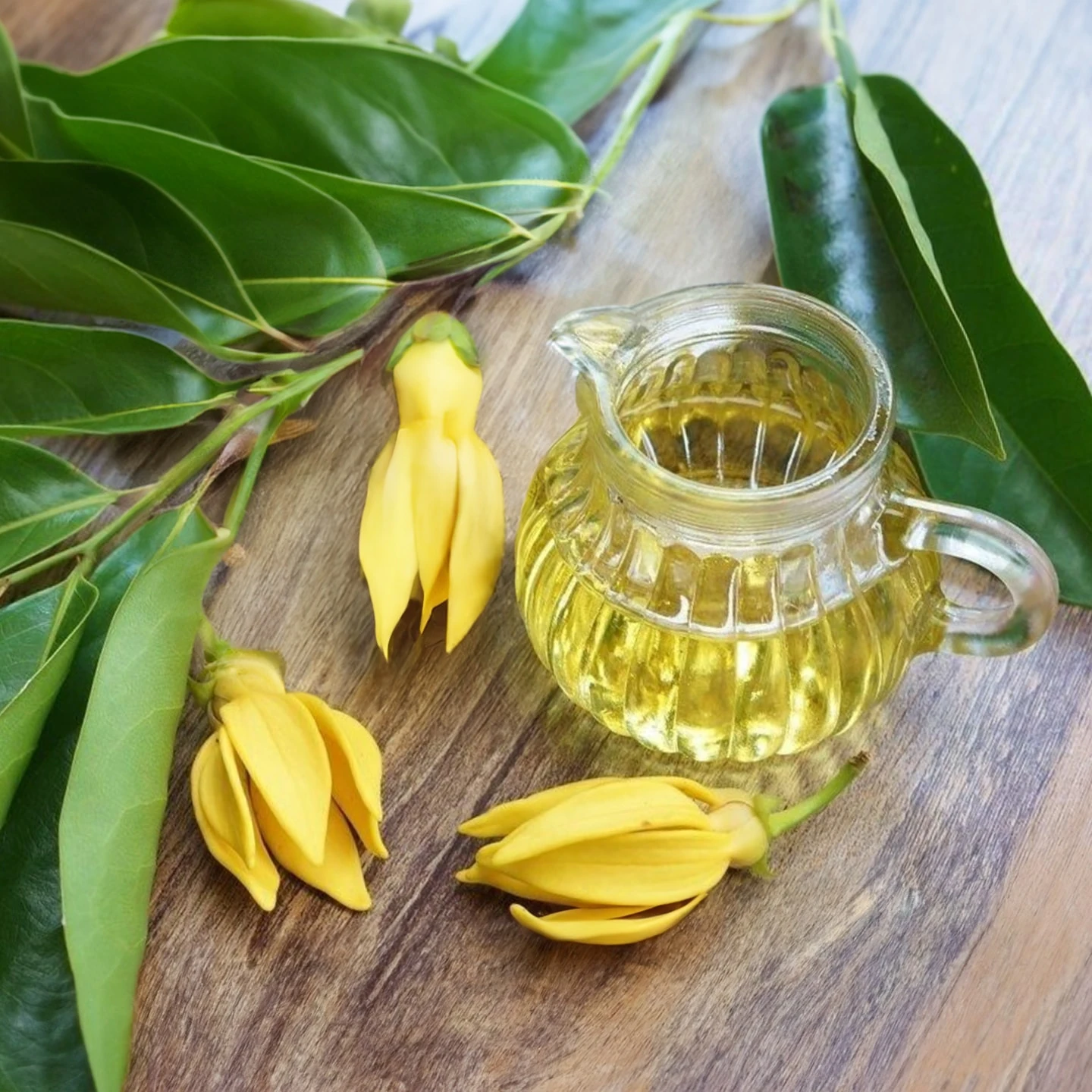 Ylang Ylang Uçucu Yağı | Organik
