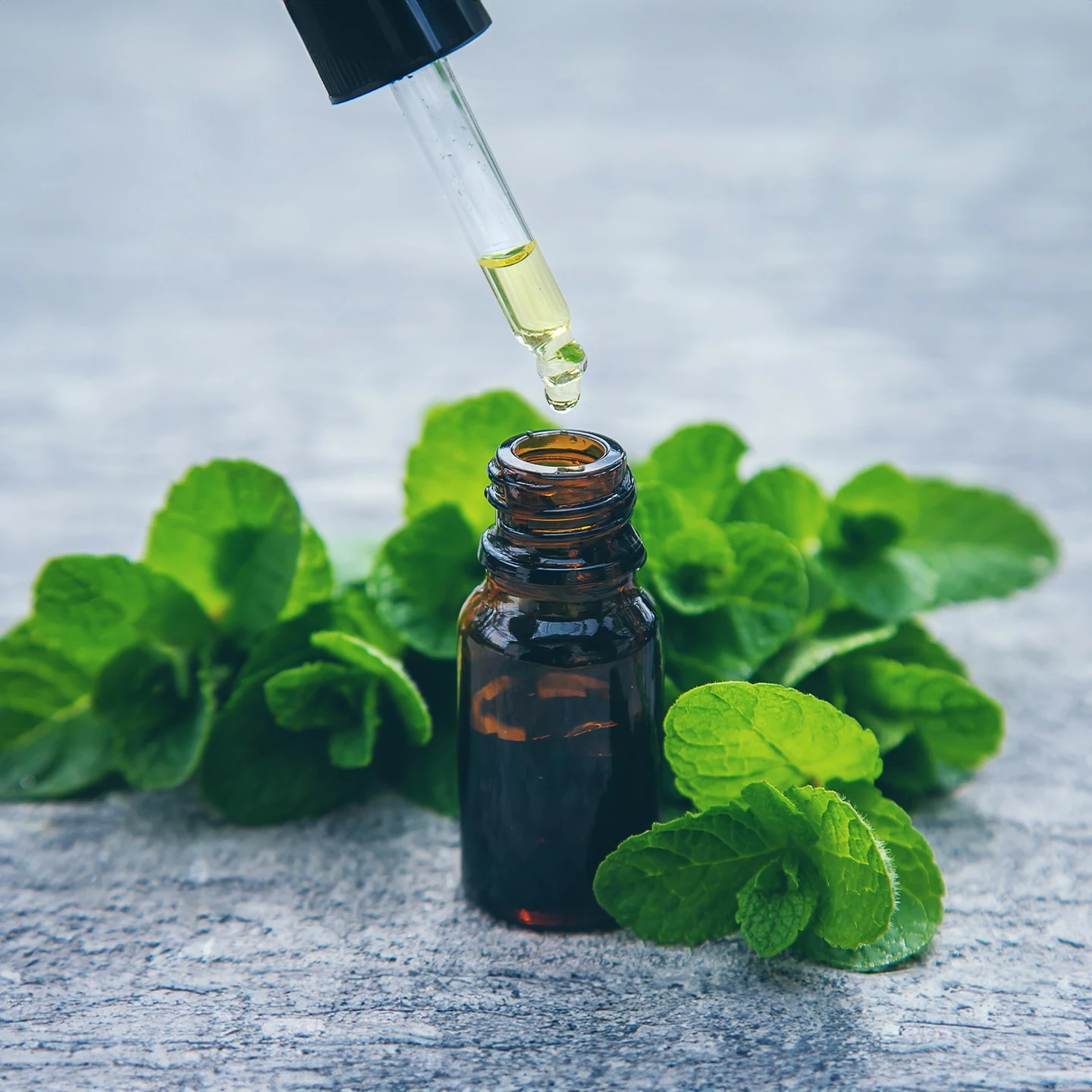 İngiliz Nanesi Uçucu Yağı | Organik