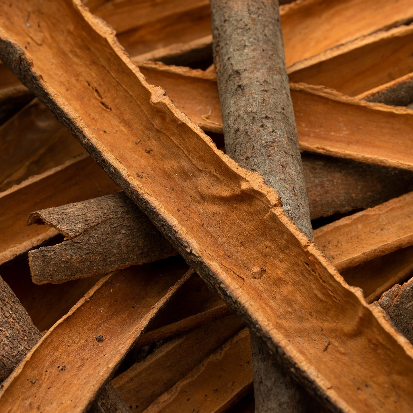 Tarçın Uçucu Yağı | Organik