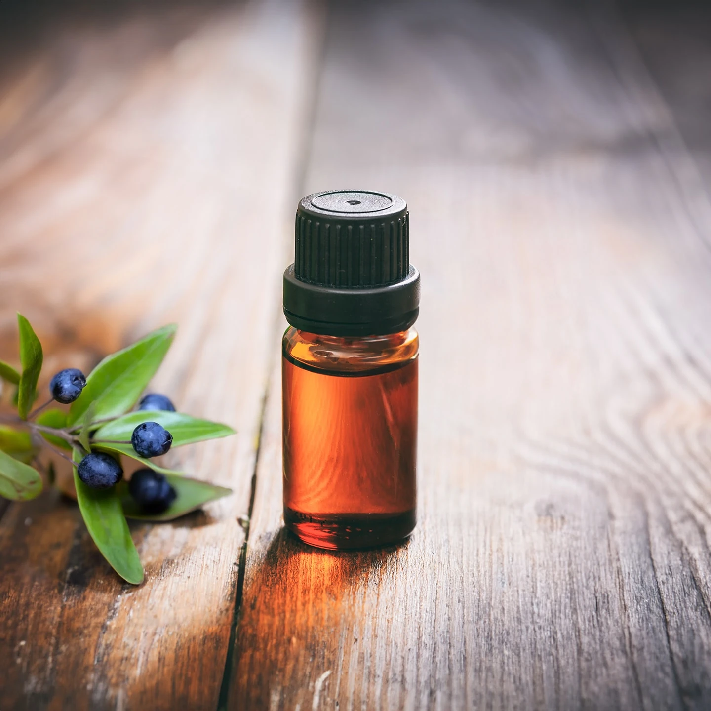 Mersin Uçucu Yağı | Organik