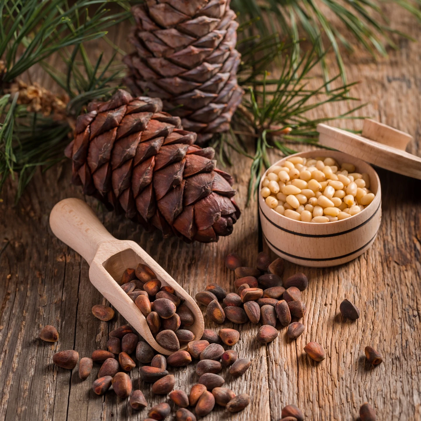 Sedir Uçucu Yağı | Organik