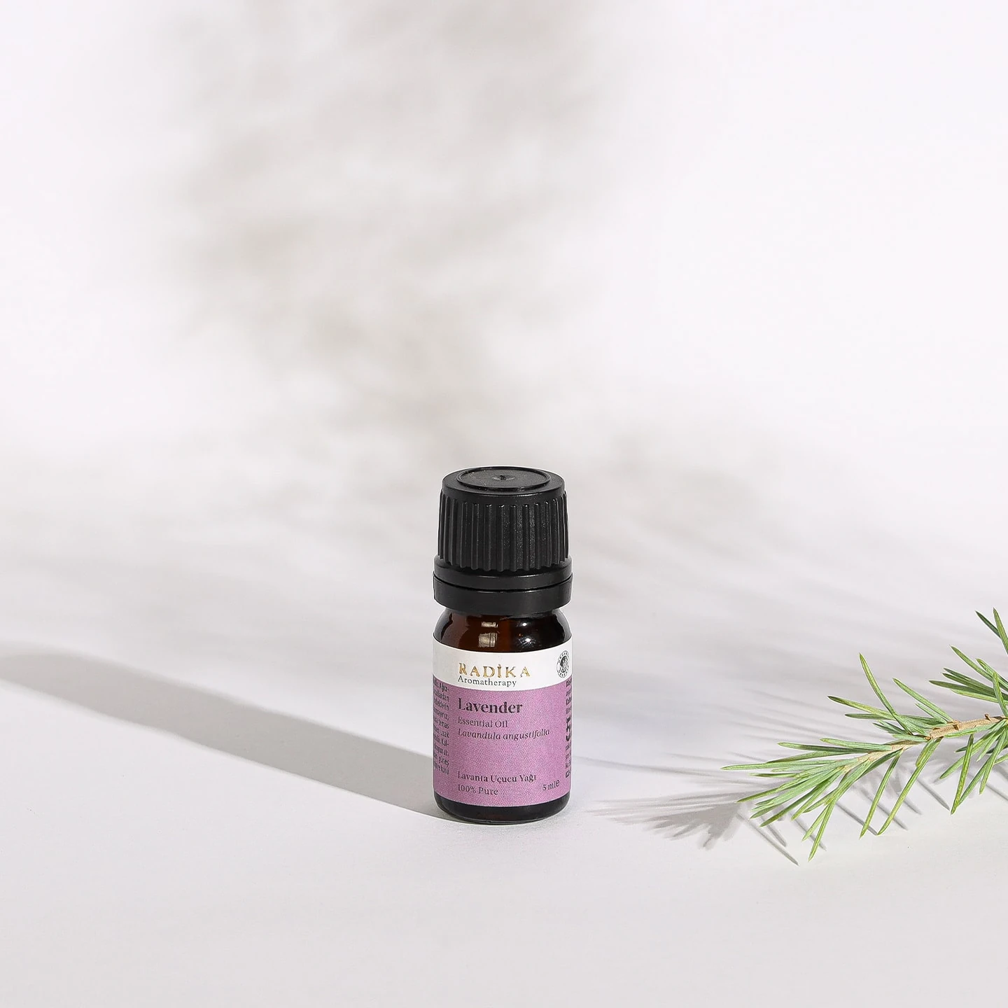 Zarif Lavanta Uçucu Yağı | Organik