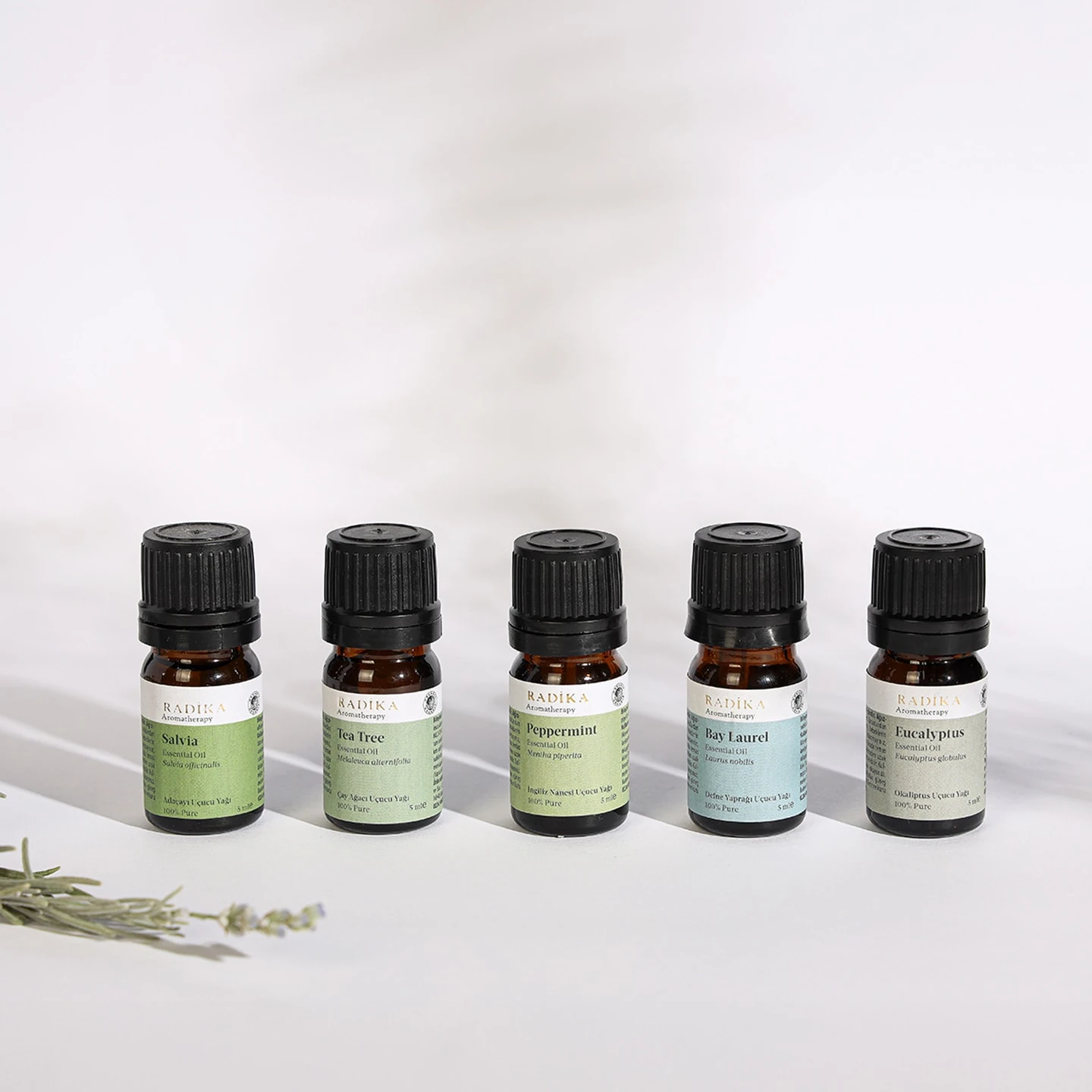 Adaçayı Uçucu Yağı | Organik