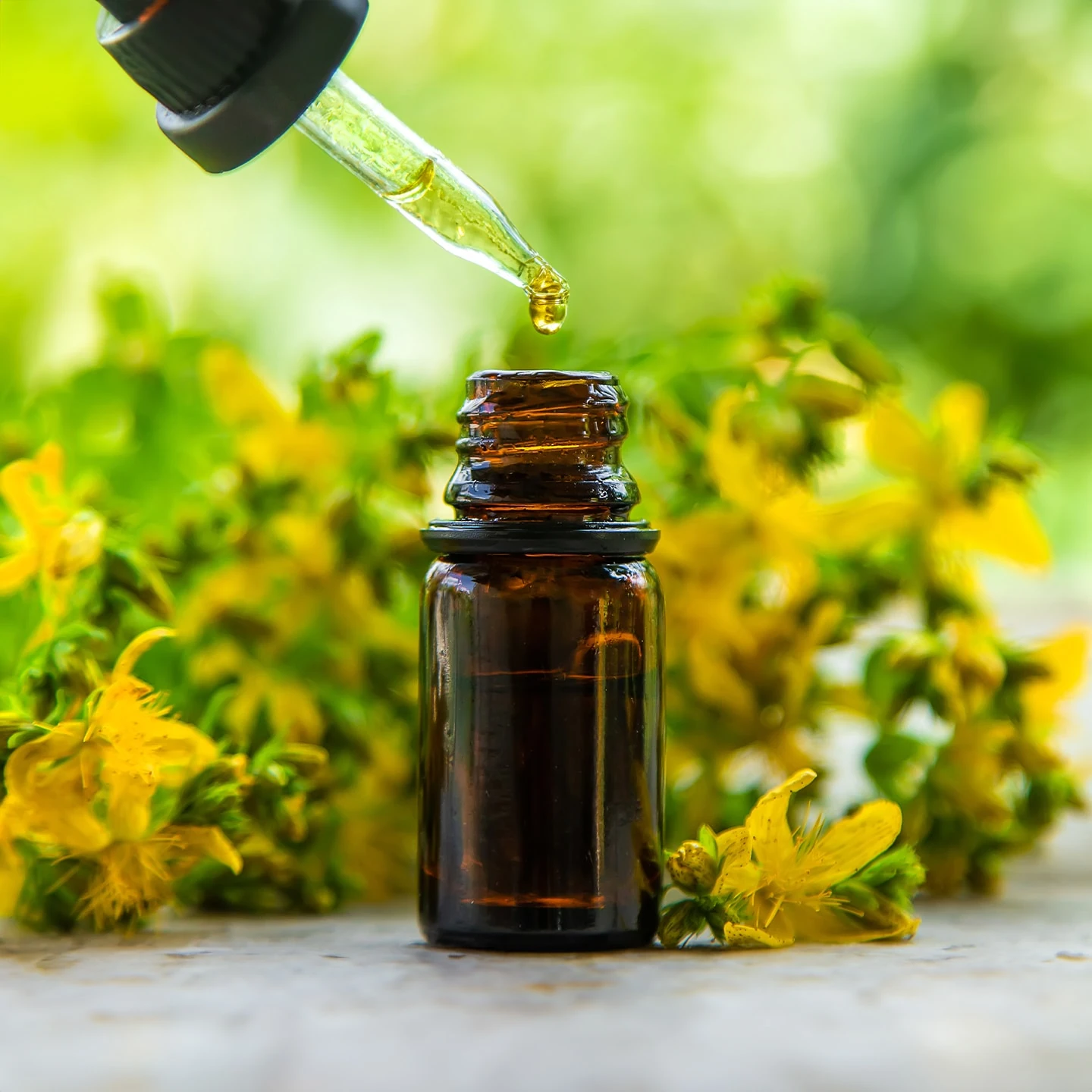 Kantaron Yağı | Organik | Taşıyıcı Yağ