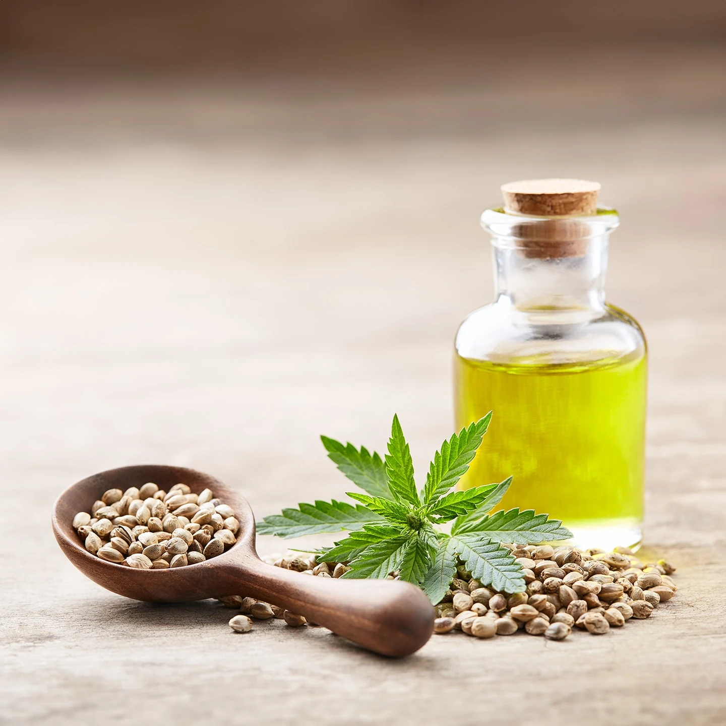 Kenevir Tohumu Yağı | Organik | Taşıyıcı Yağ
