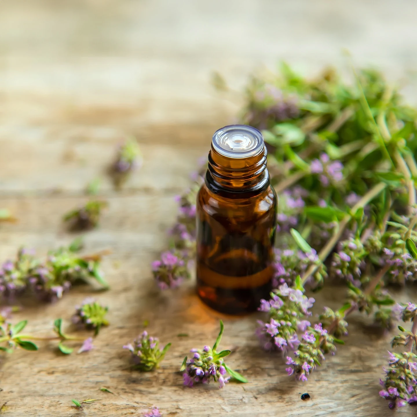 Kekik Uçucu Yağı | Organik