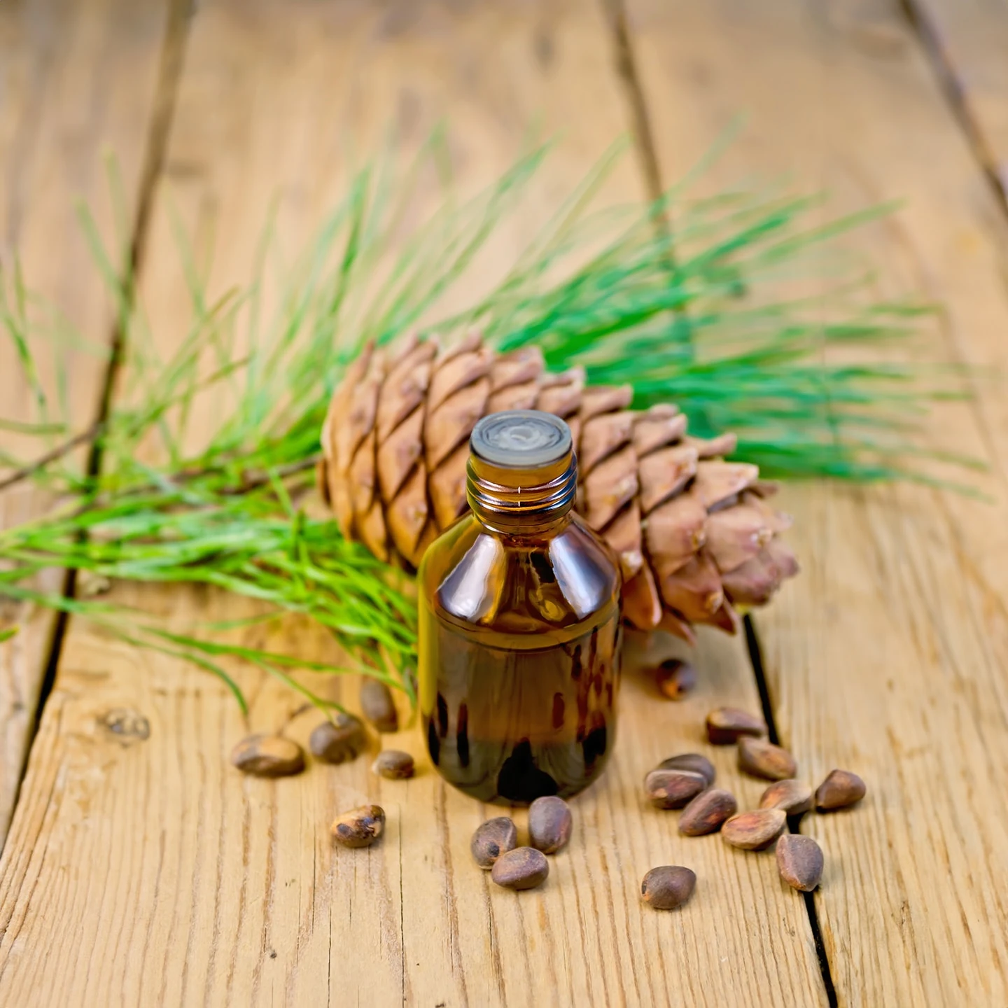 Sedir Uçucu Yağı | Organik