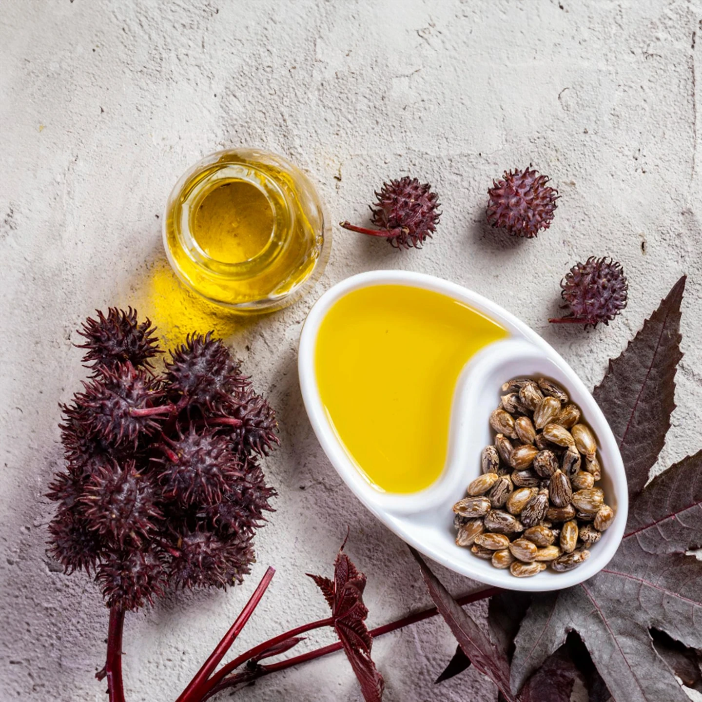 Hint Yağı | Organik | Taşıyıcı Yağ