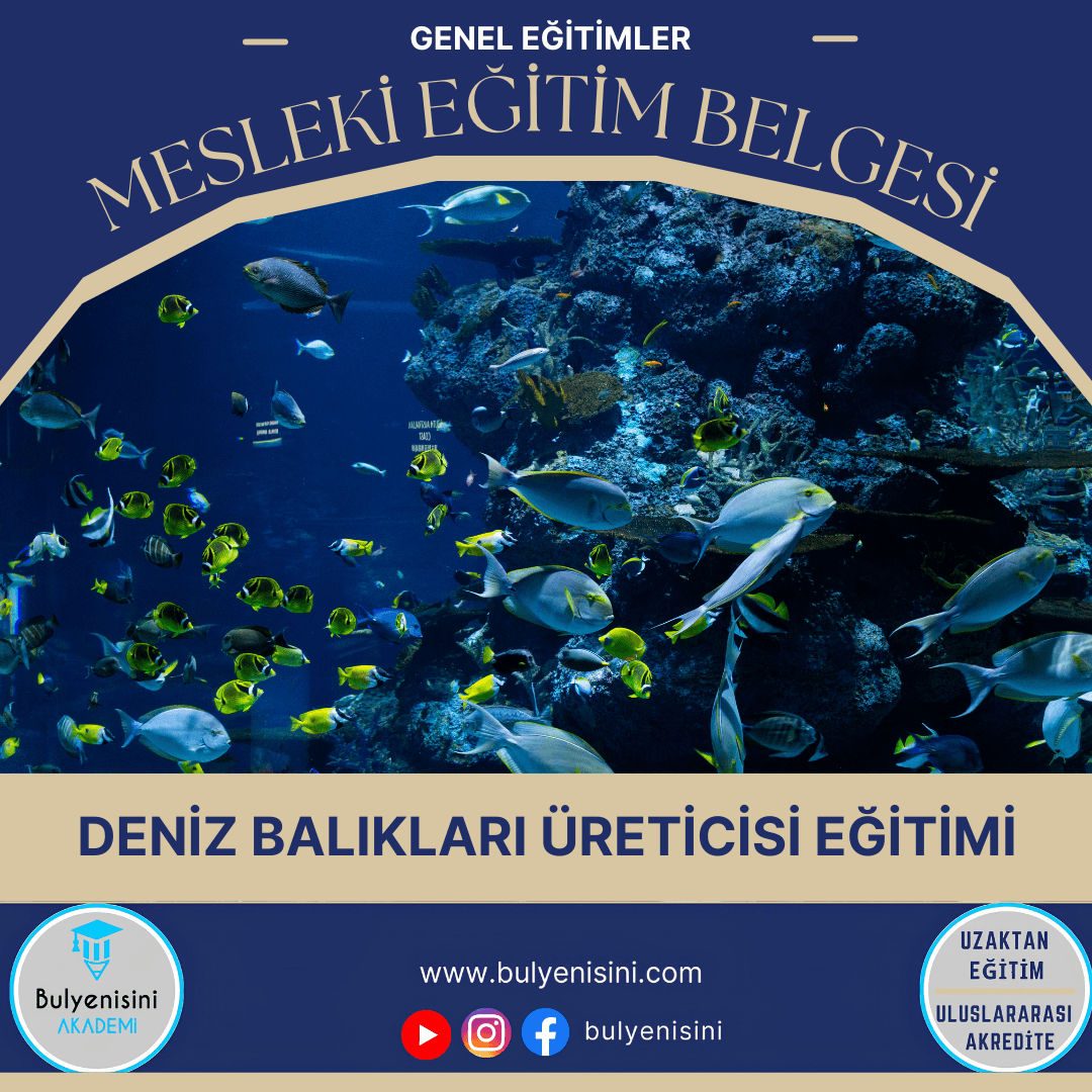 Deniz Balıkları Üreticisi Sertifika Programı