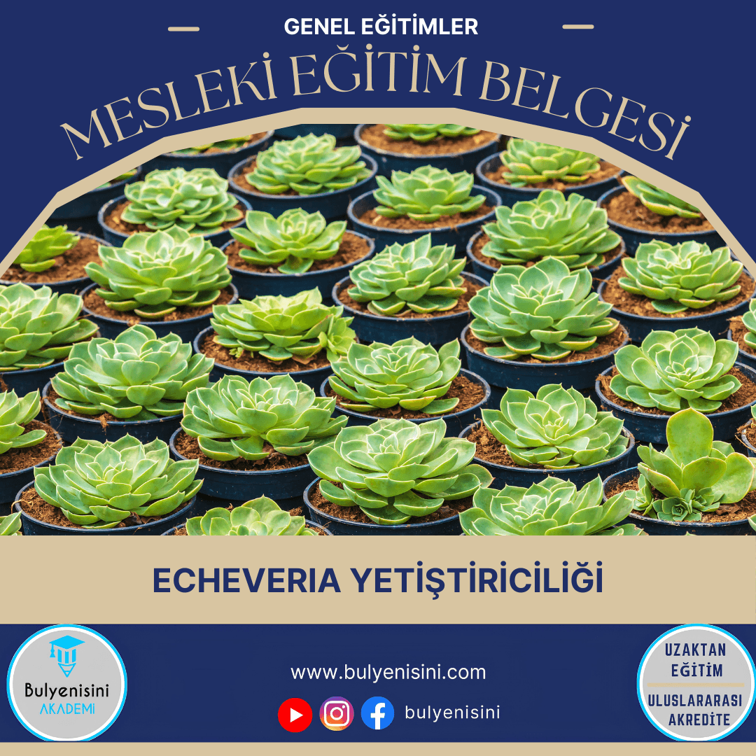 Echeveria Yetiştiriciliği Sertifika Programı