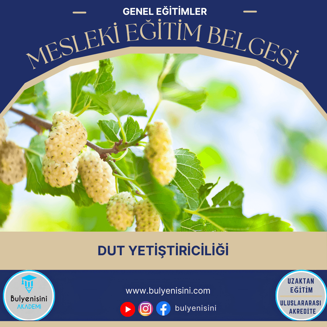 Dut Yetiştiriciliği Sertifika Programı