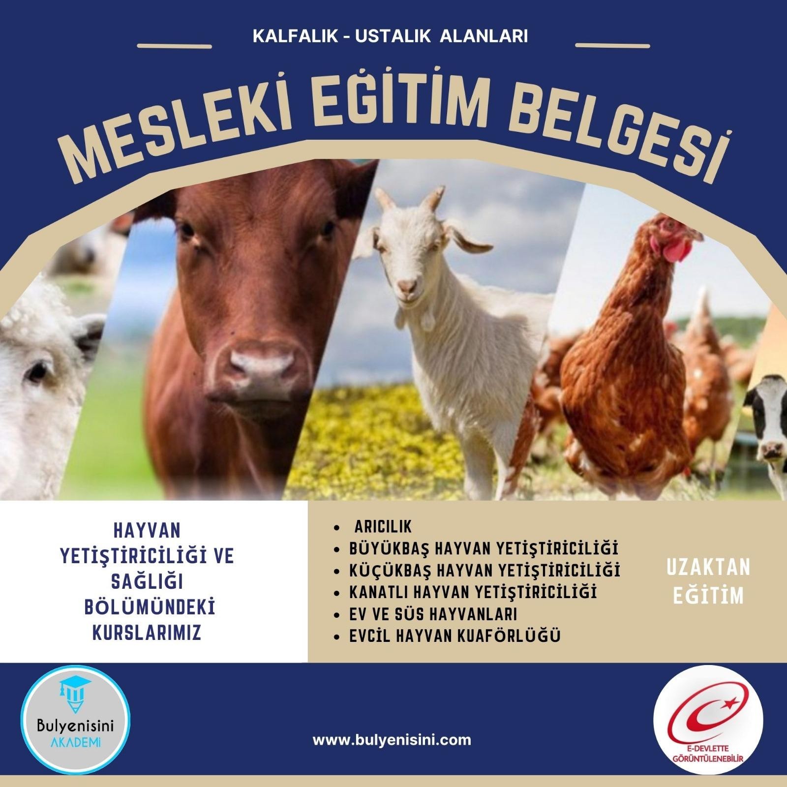 Küçükbaş Hayvan Yetiştiriciliği Kalfalık & Ustalık Sertifika ve Eğitim Programı (2 Belge)