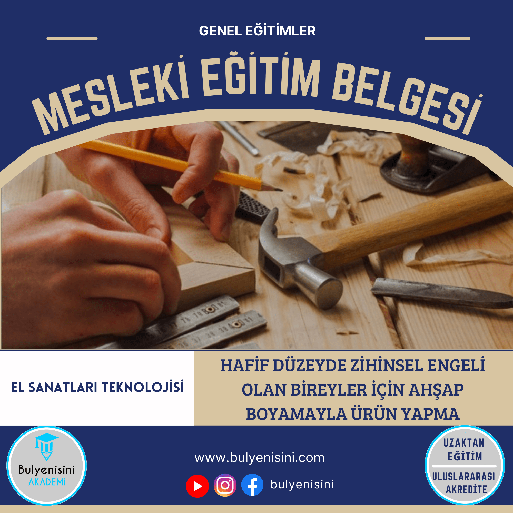 Hafif Düzeyde Zihinsel Engeli Olan Bireyler İçin Ahşap Boyamayla Ürün Yapma Sertifika Programı