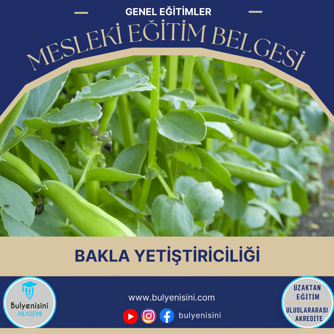 Bakla Yetiştiriciliği Sertifika Programı