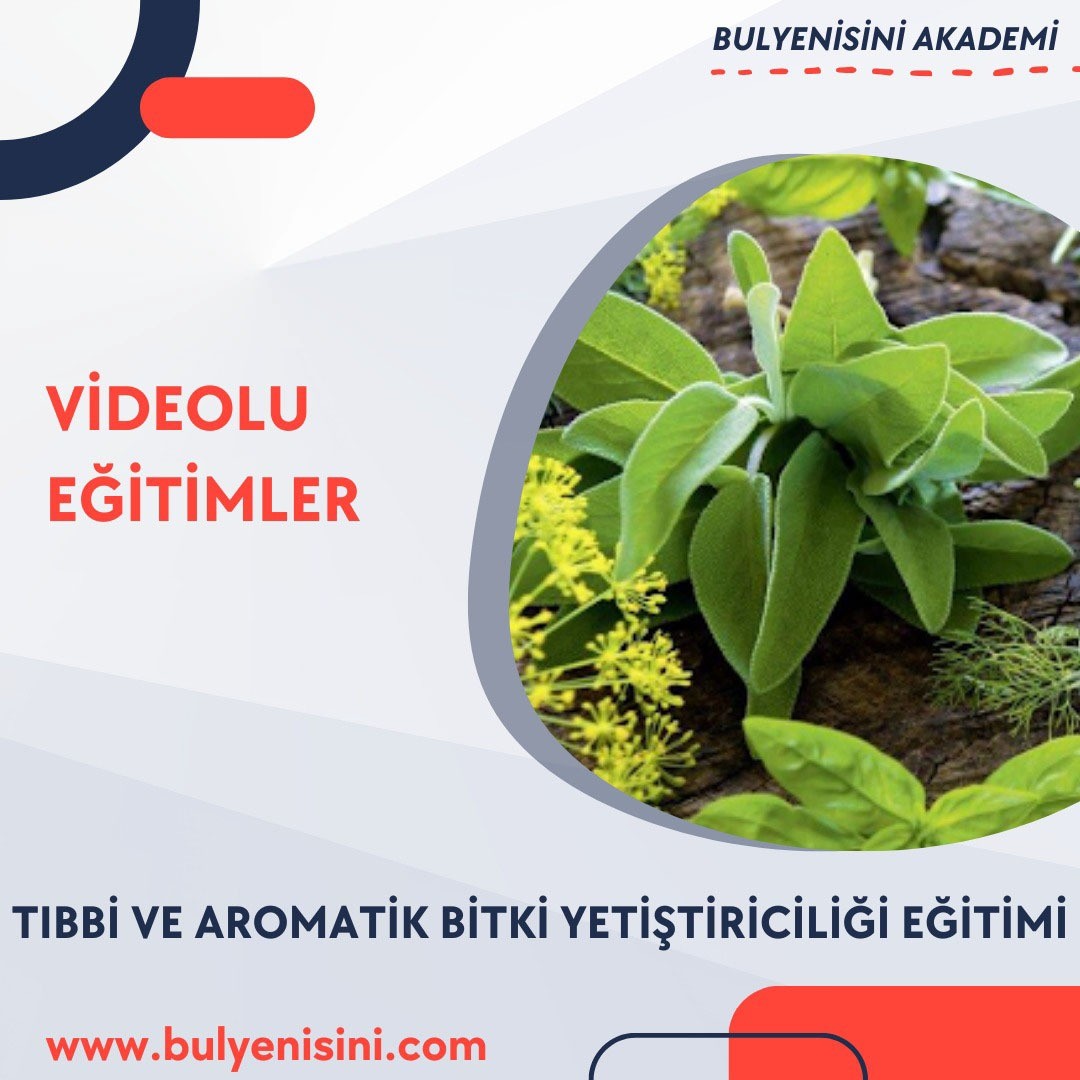 TIBBİ VE AROMATİK BİTKİ YETİŞTİRİCİLİĞİ EĞİTİMİ