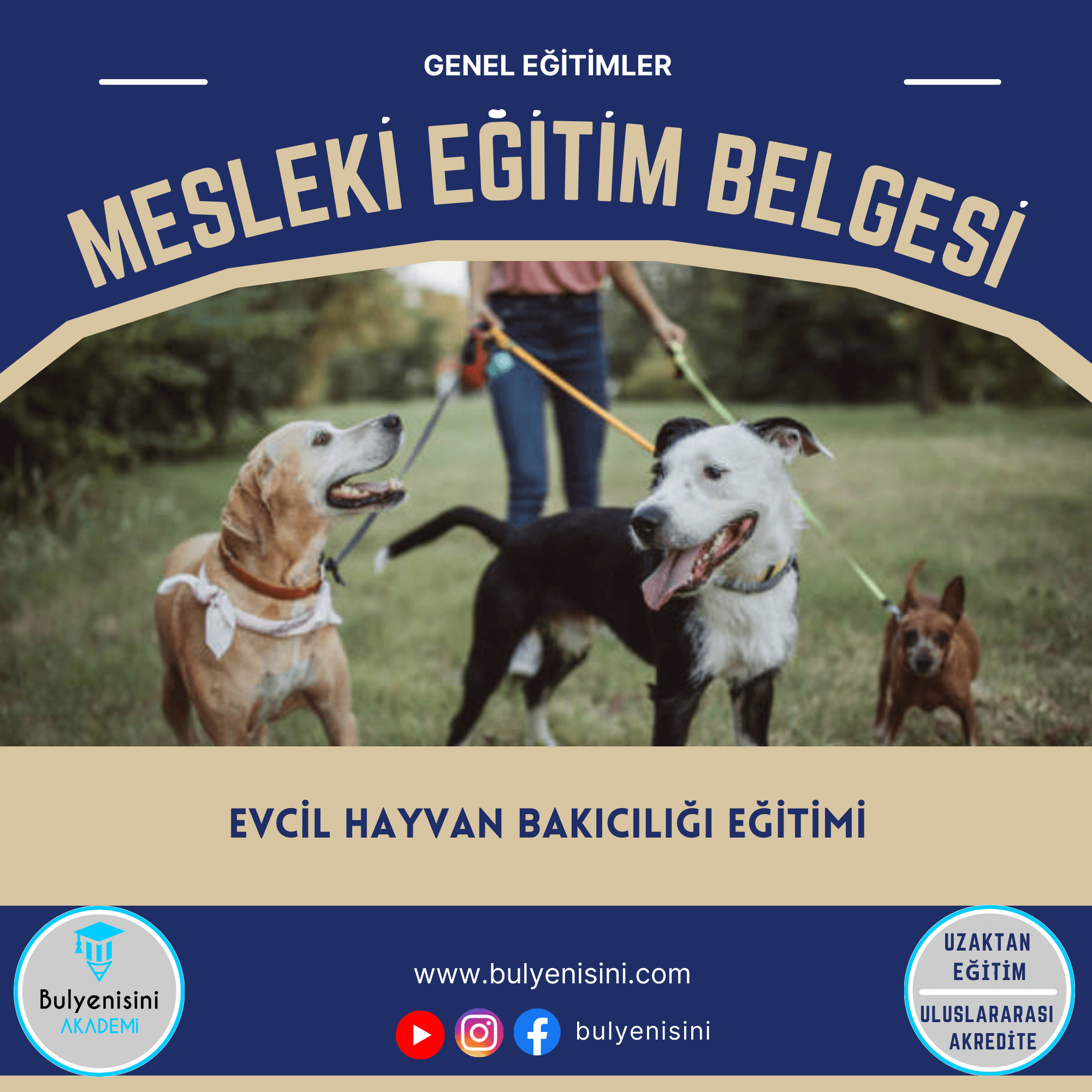 120 Saatlik Evcil Hayvan Bakıcılığı Eğitimi