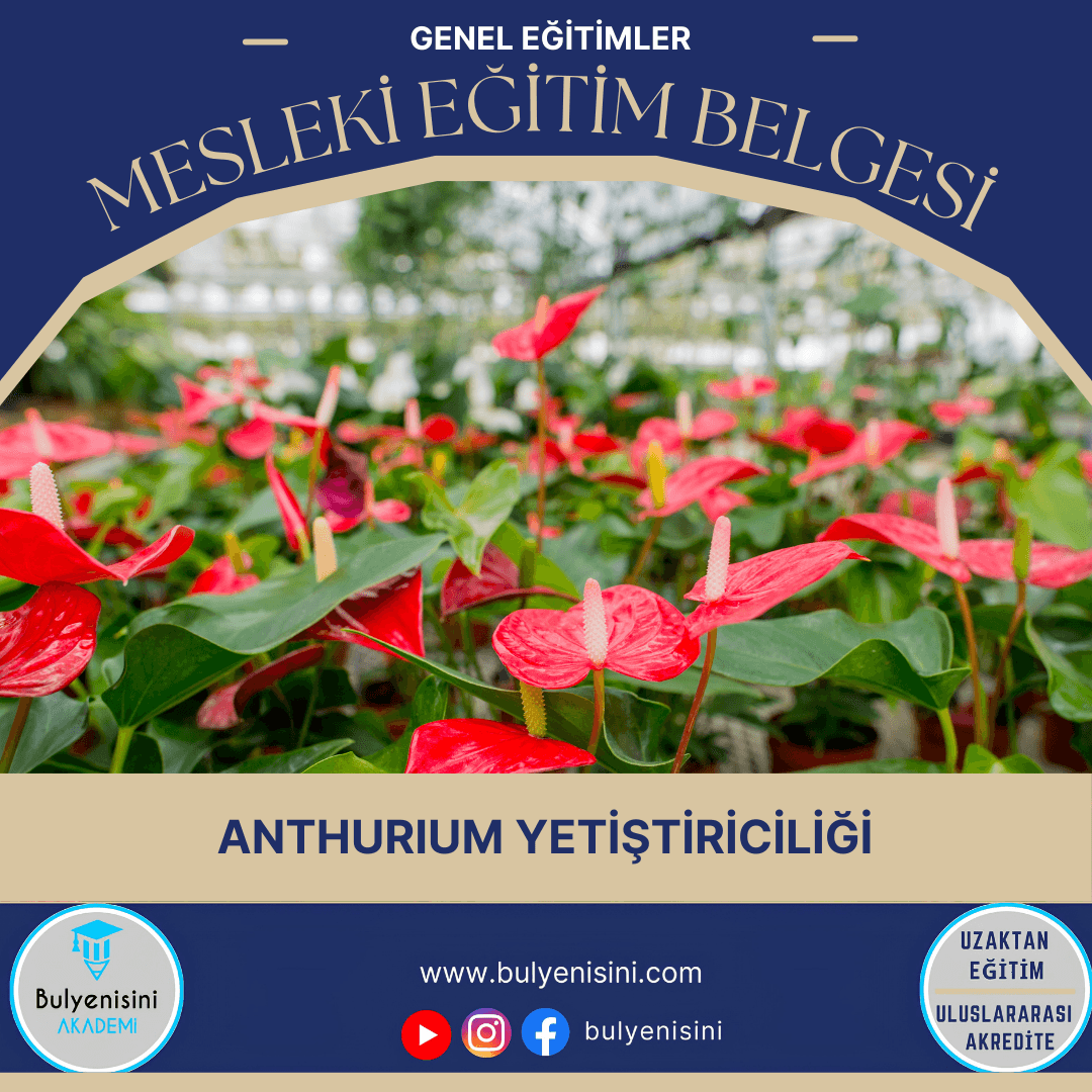 Anthurium Yetiştiriciliği Sertifika Programı