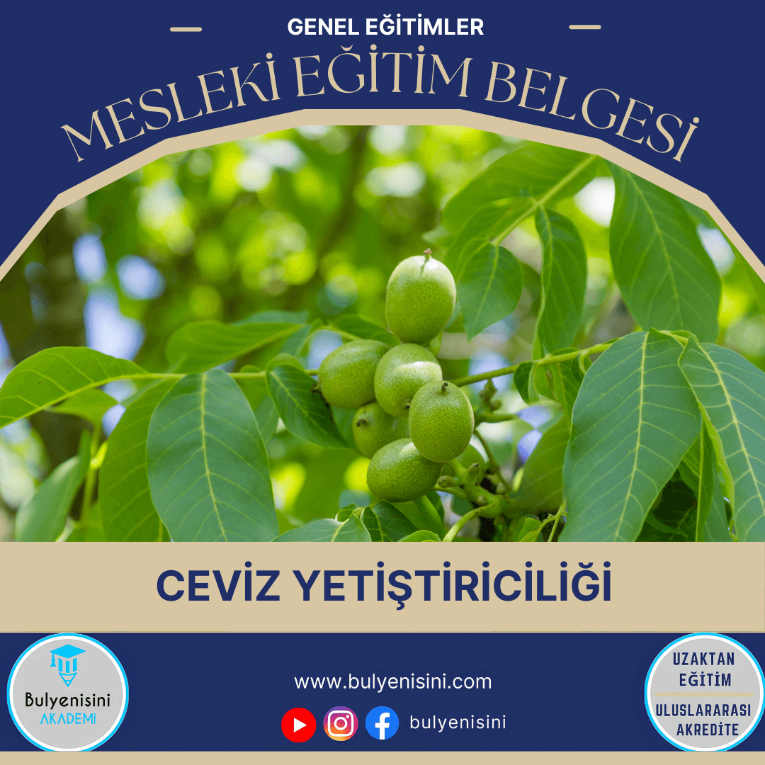 Ceviz Yetiştiriciliği Sertifika Programı