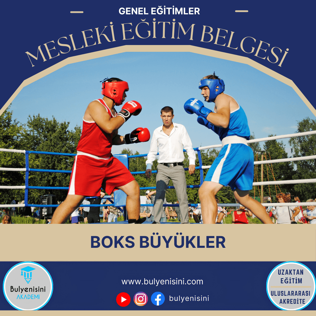 Boks Büyükler Sertifika Programı