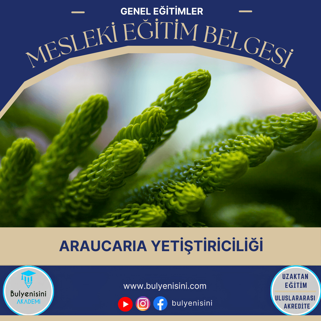 Araucaria Yetiştiriciliği Sertifika Programı
