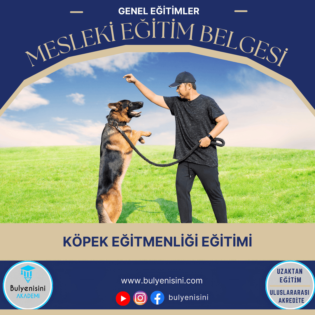 80 Saatlik Köpek Eğitmenliği Eğitimi