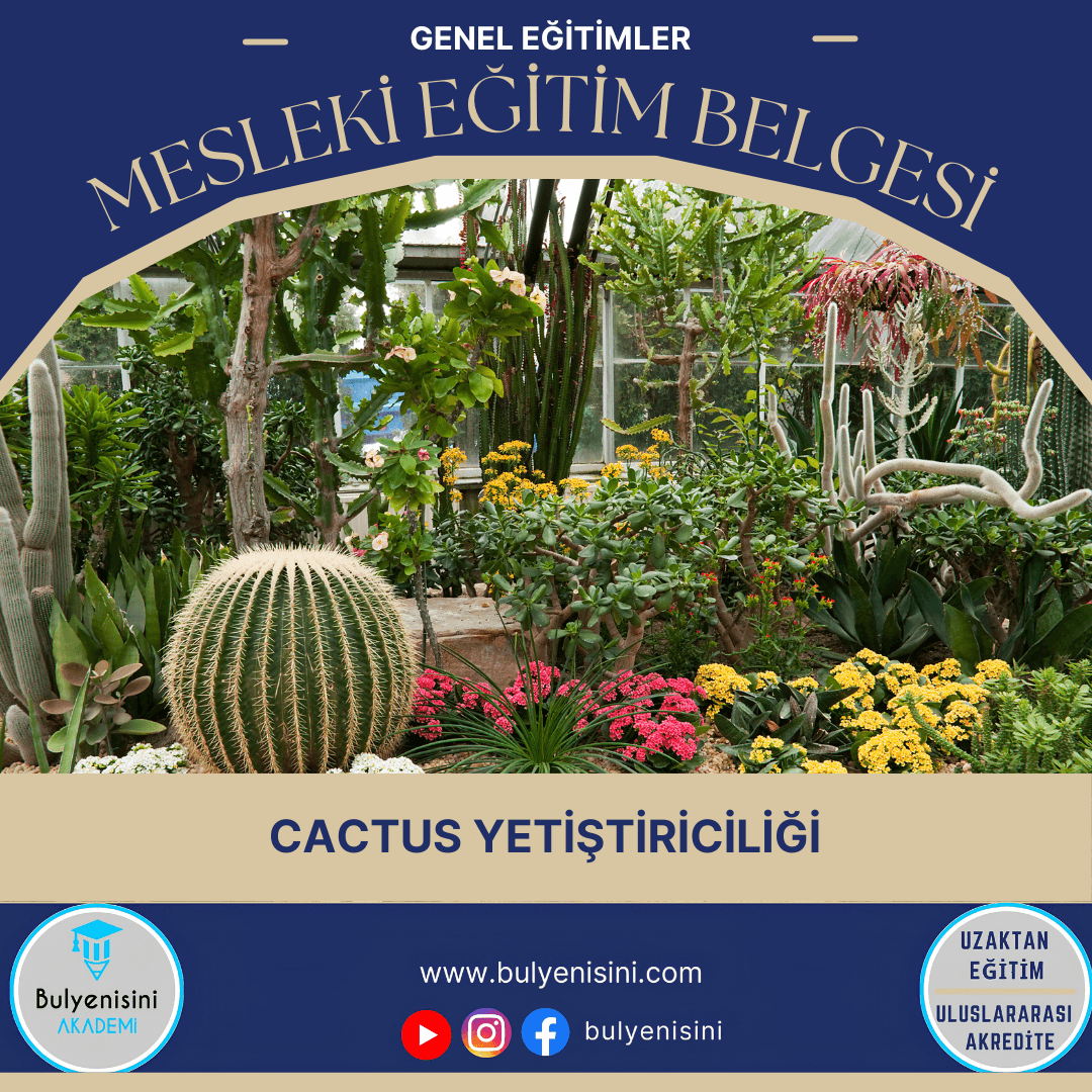 Cactus Yetiştiriciliği Sertifika Programı